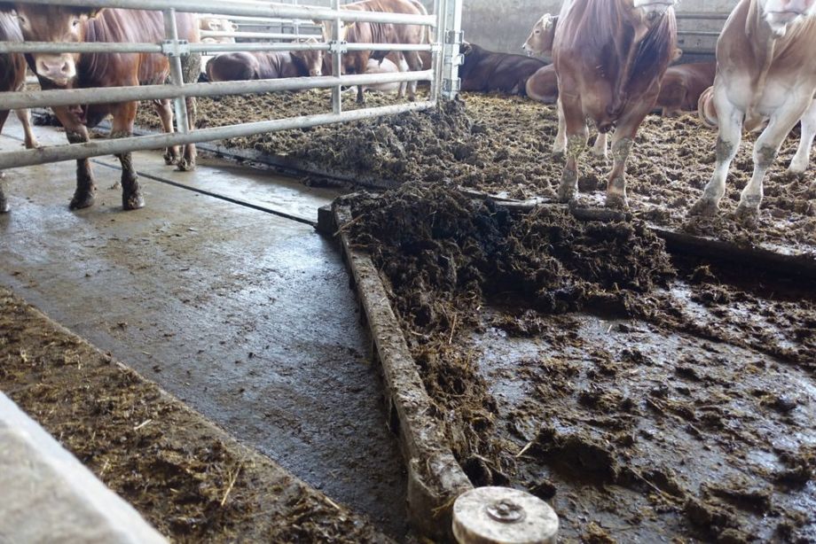 V-Schieber beim Zusammentragen von Tretmist