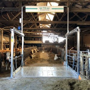 Installation einer Futtertischbrücke im Altbestand geschlossen