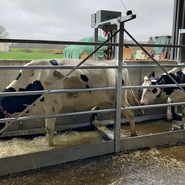 Klauenwanne mit 2 Bädern