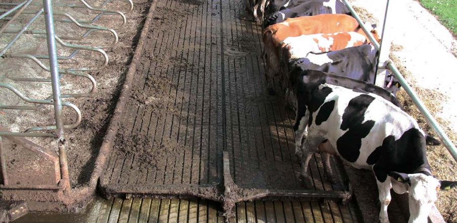 Schieberanlage Kettenentmistung