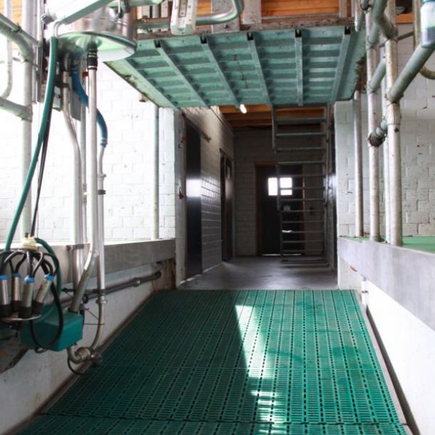 Brück im Melkstand hochgefahren